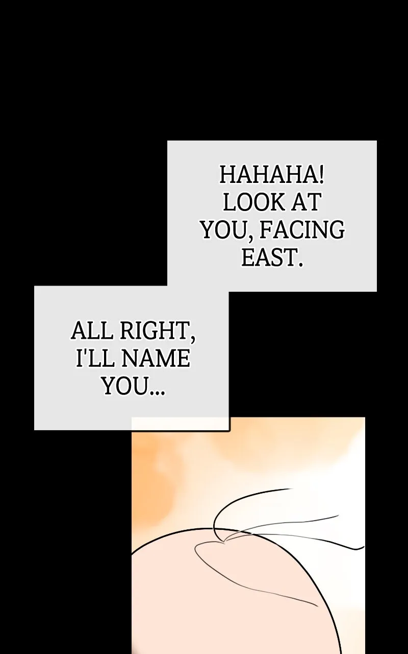 Maybe Undefeatable Chapter 14 page 17 - 