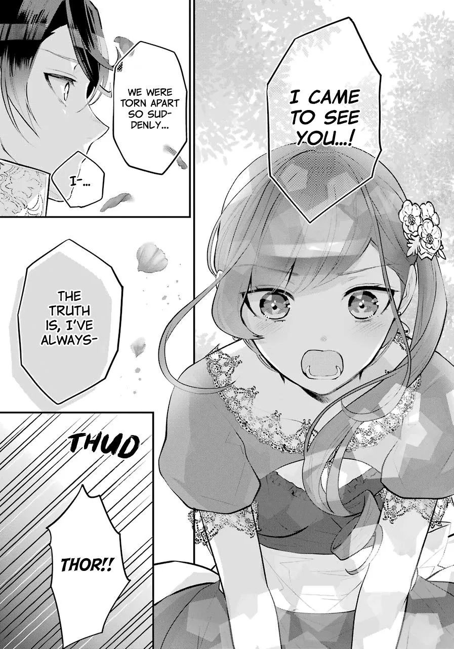 Maydare Tensei Monogatari: Kono Sekai de Ichiban Warui Majo Chapter 17 page 33 - 
