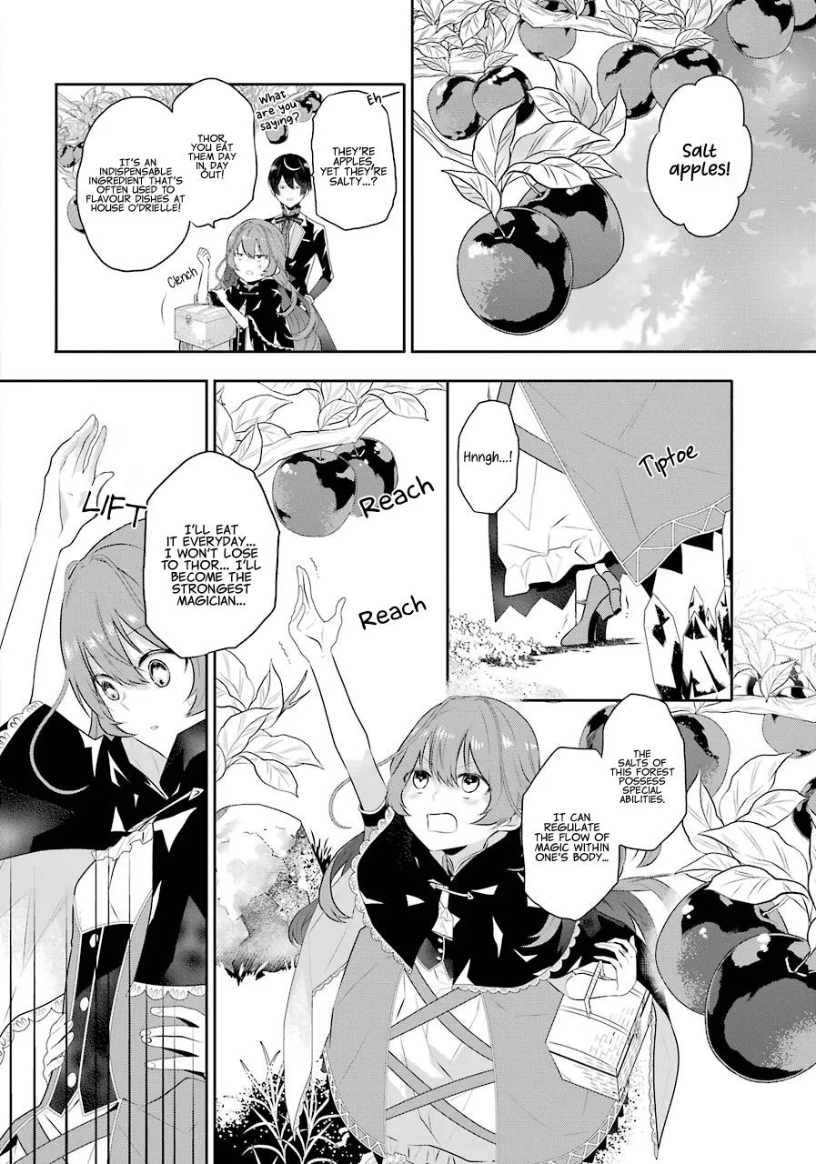 Maydare Tensei Monogatari: Kono Sekai de Ichiban Warui Majo Chapter 2 page 13 - 