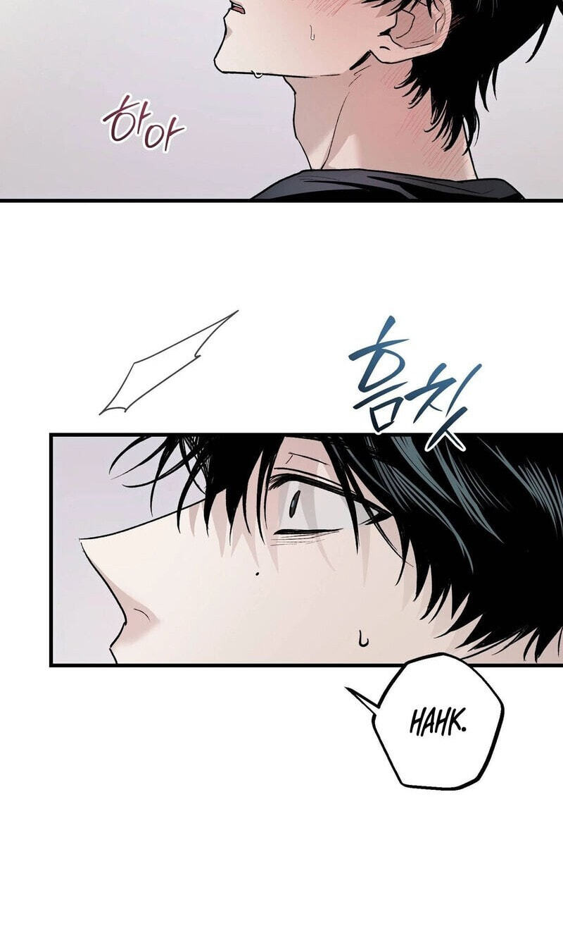 MBB Chapter 17 page 40 - 