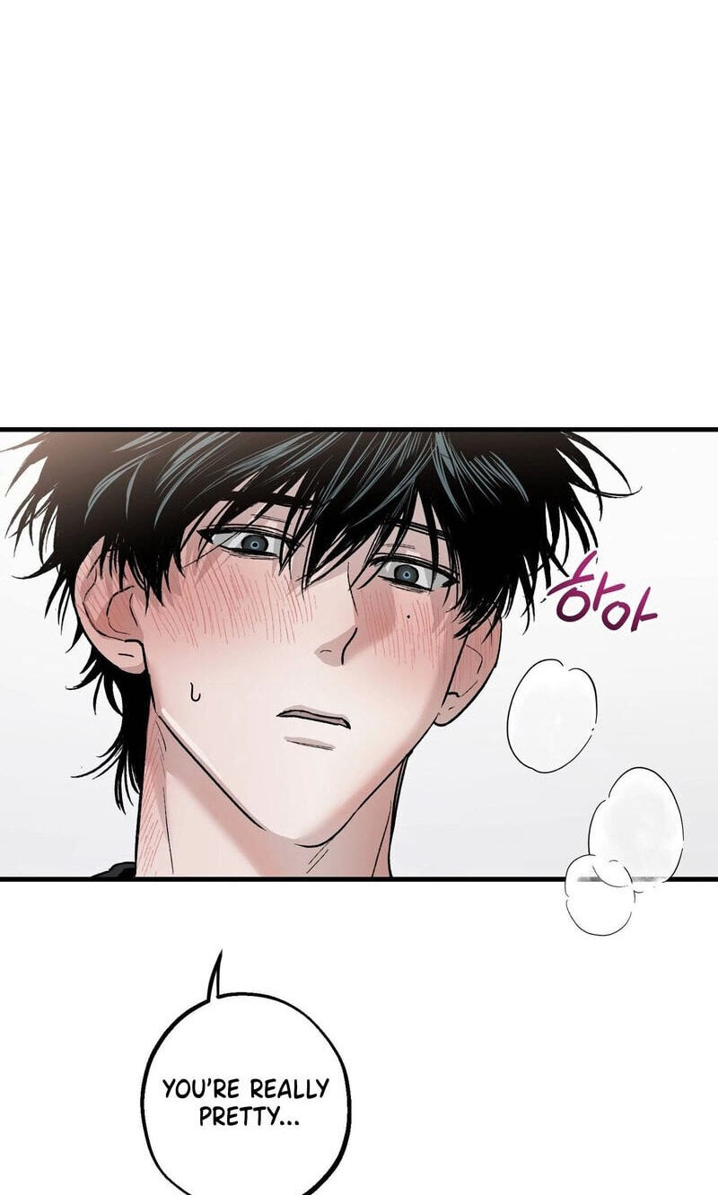MBB Chapter 17 page 81 - 