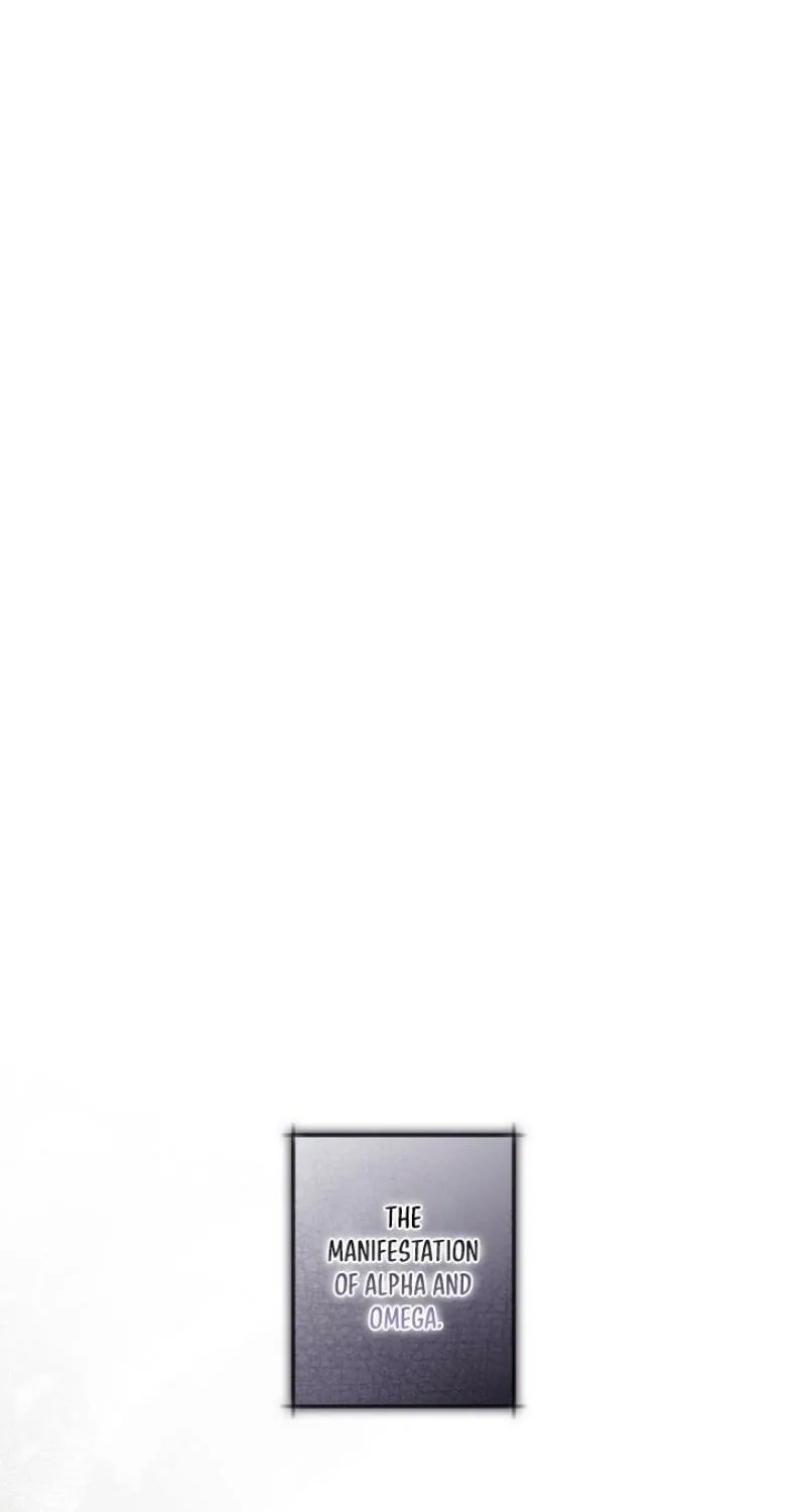 MBB Chapter 2 page 2 - 