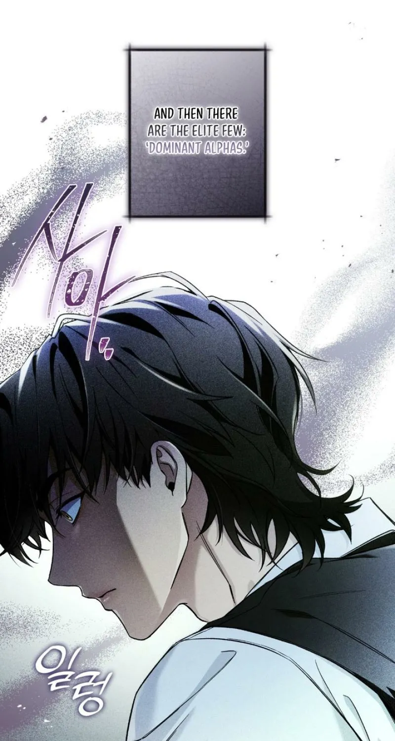 MBB Chapter 2 page 5 - 