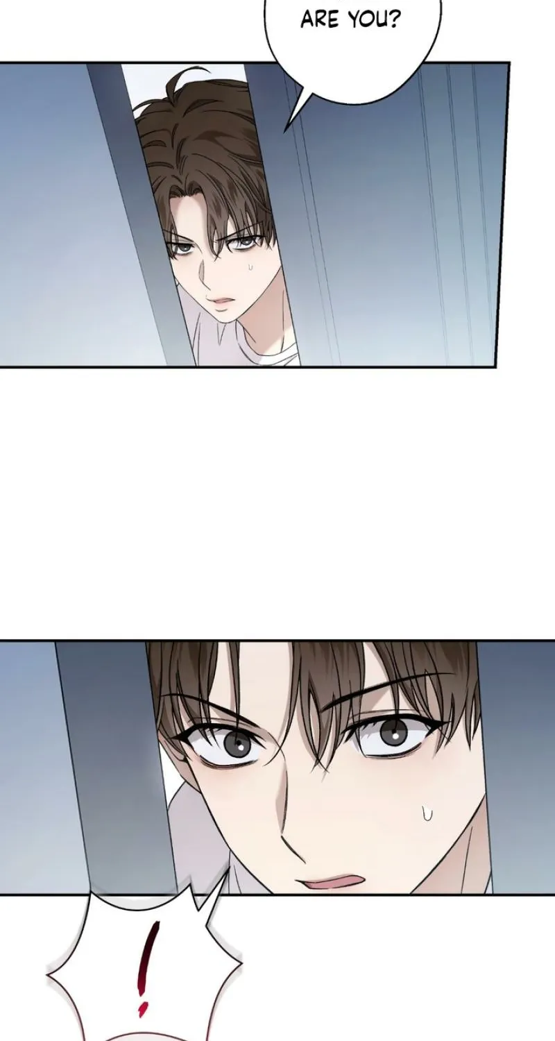 MBB Chapter 2 page 41 - 