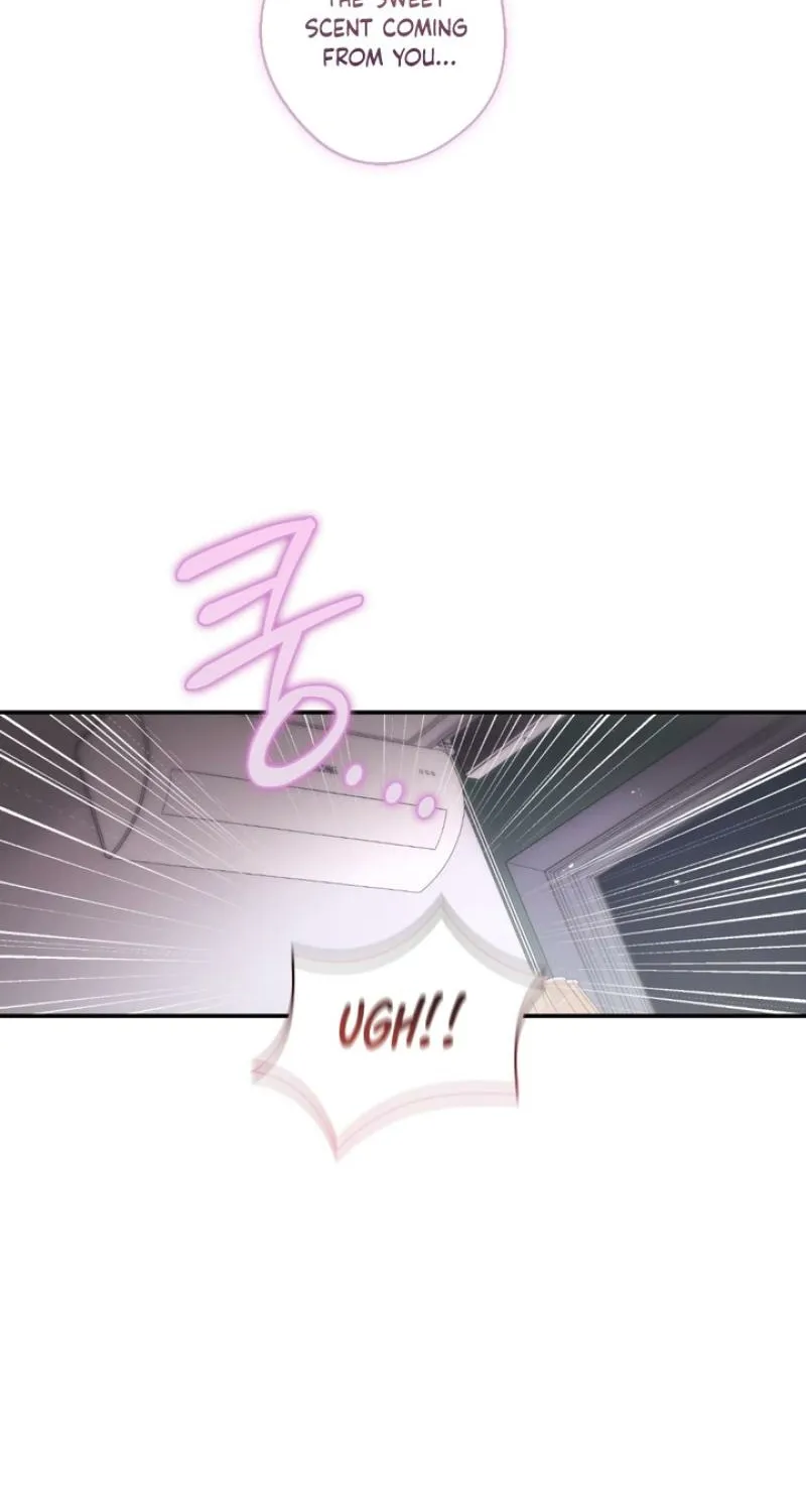 MBB Chapter 3 page 60 - 