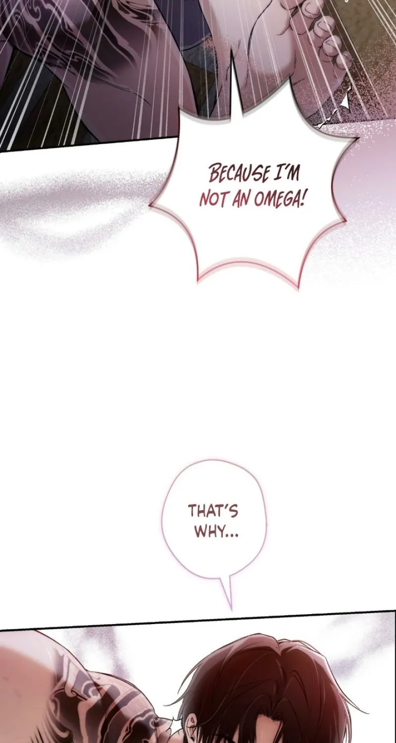 MBB Chapter 3 page 63 - 