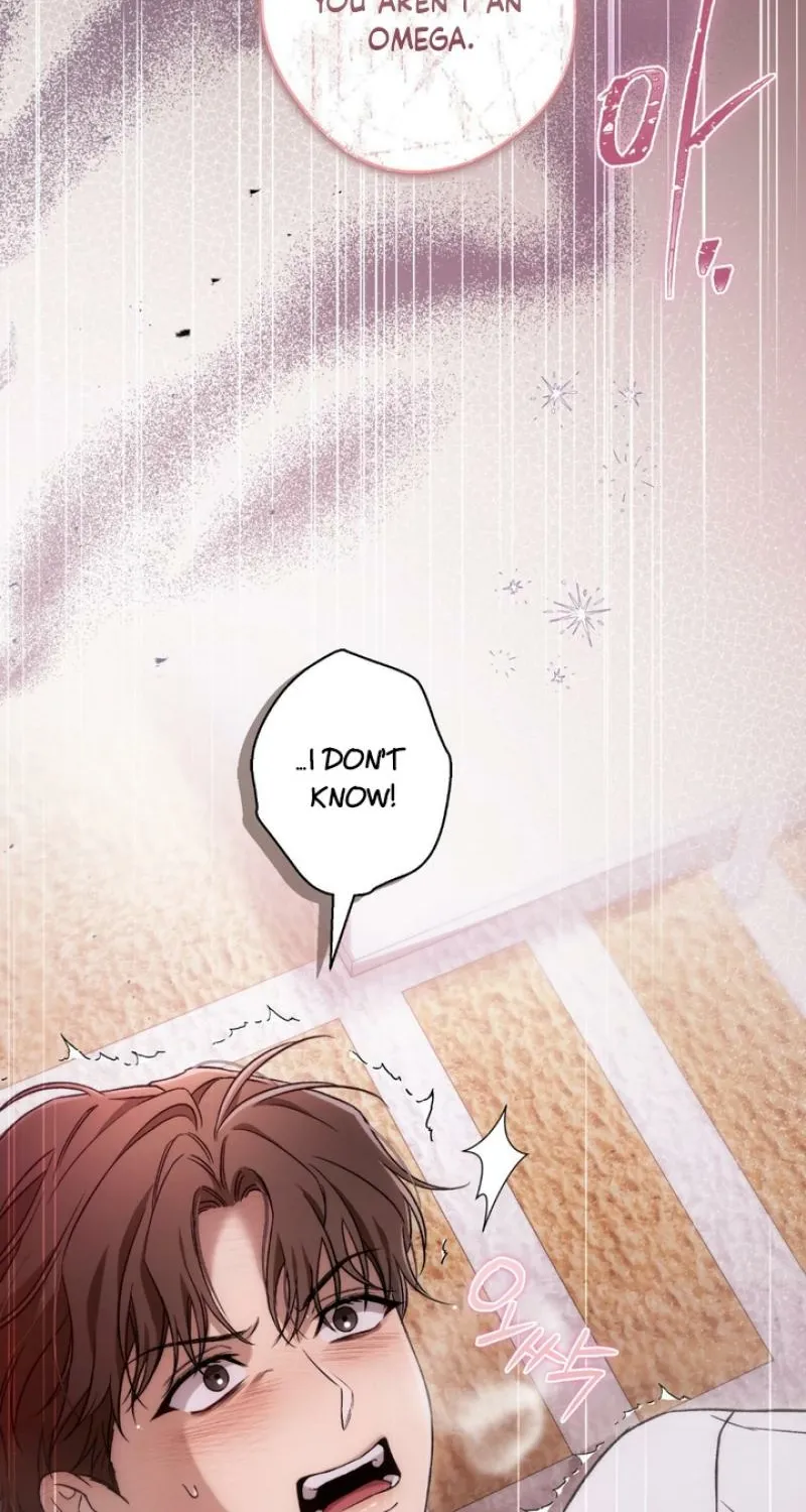 MBB Chapter 3 page 65 - 