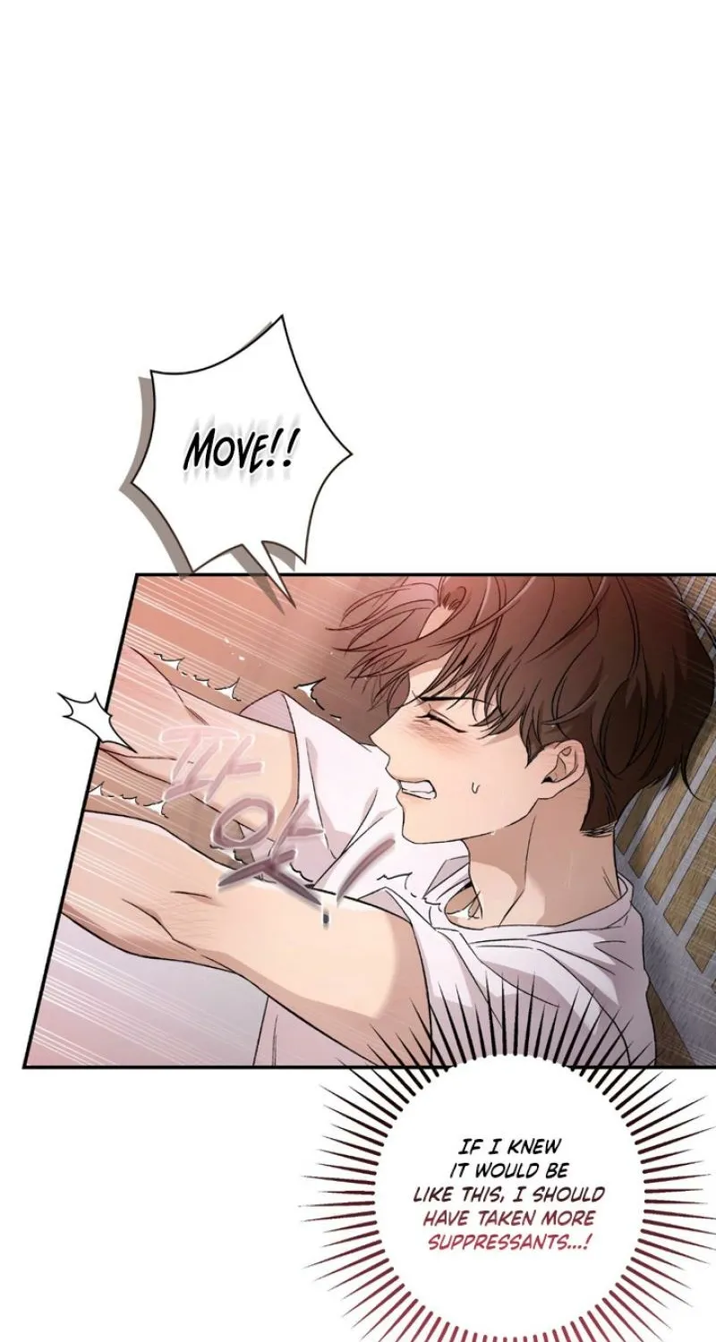 MBB Chapter 3 page 72 - 