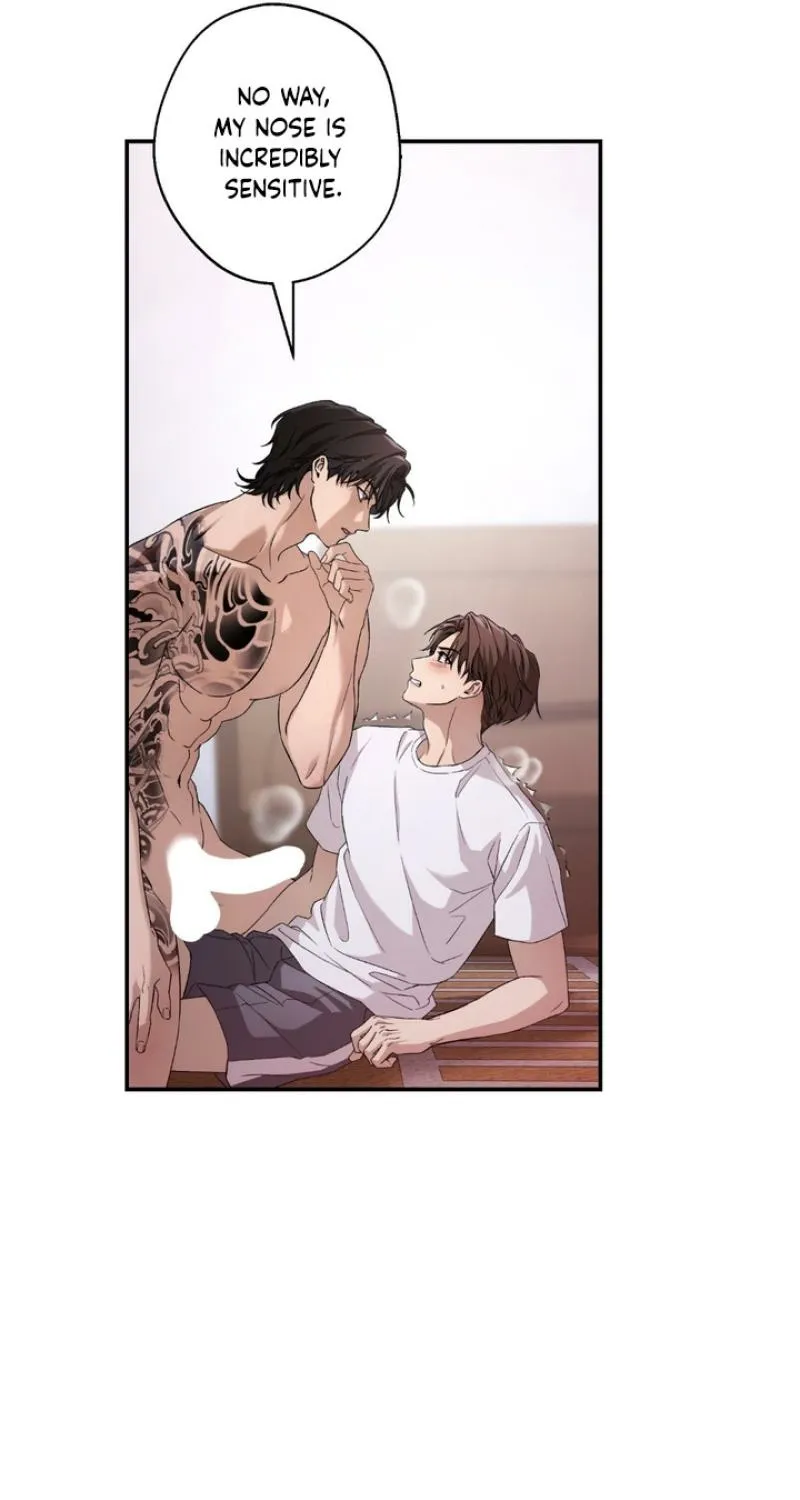 MBB Chapter 3 page 74 - 
