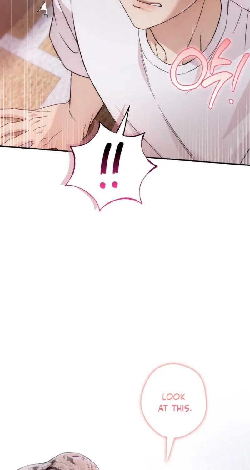 MBB Chapter 3 page 77 - 