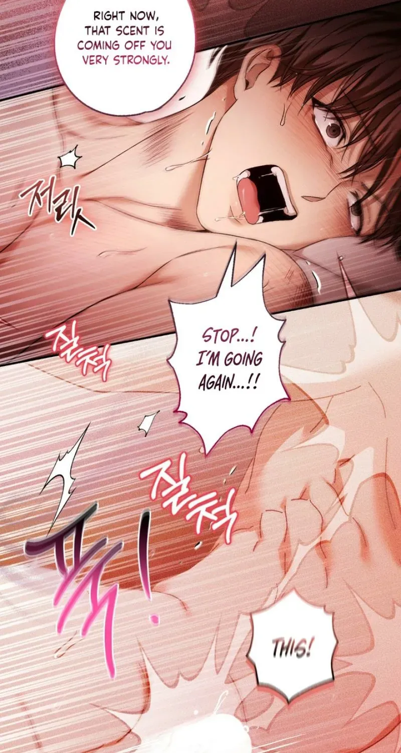 MBB Chapter 9 page 45 - 
