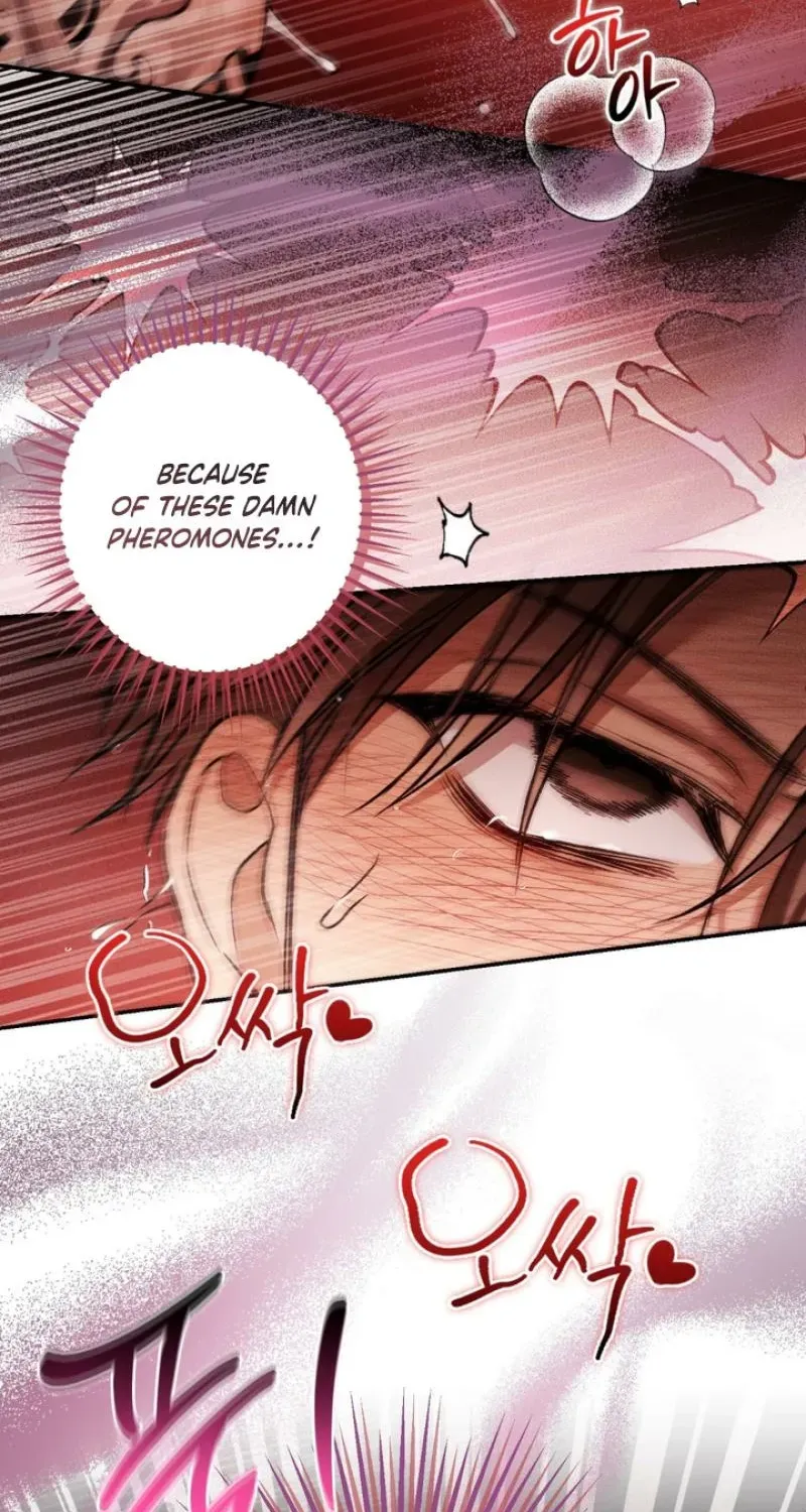 MBB Chapter 9 page 49 - 