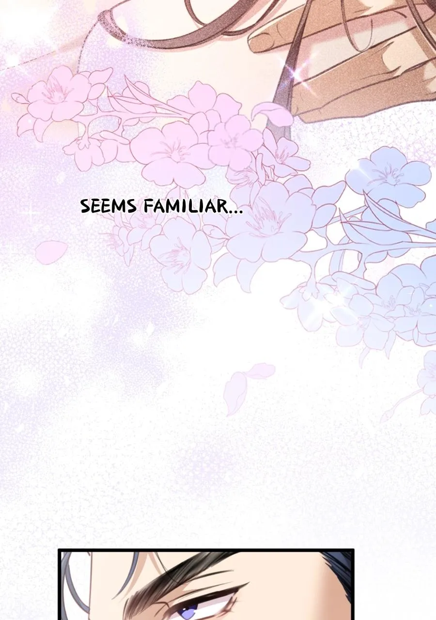 Meet My Ex AgainAs His Aunt Chapter 9 page 78 - 