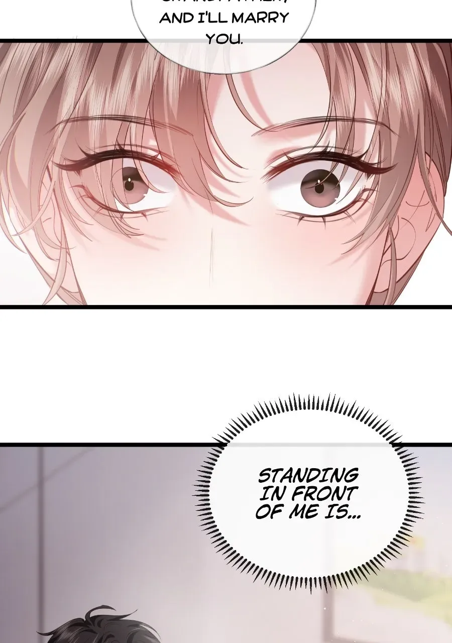 Meet My Ex AgainAs His Aunt Chapter 1 page 66 - 