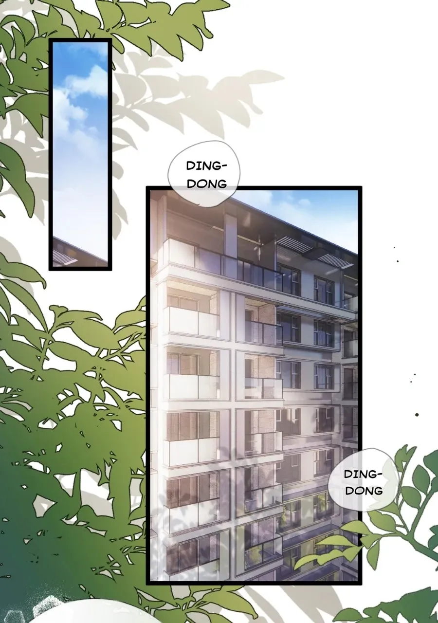Meet My Ex AgainAs His Aunt Chapter 5 page 12 - 