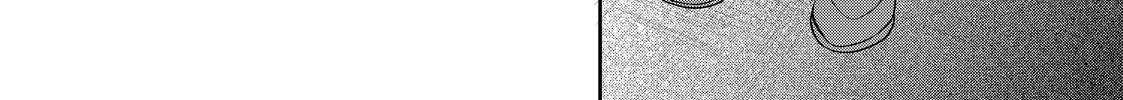 Megane, Tokidoki, Yankee-kun Chapter 36.2 page 21 - 