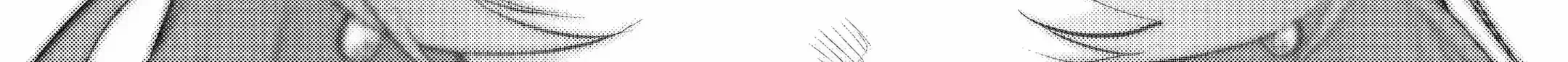 Meidea Reincarnation Theory - The World