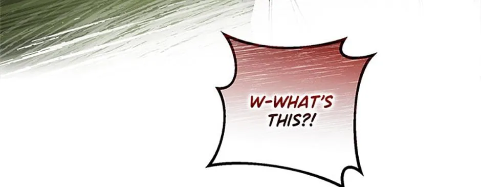 Melin’s Salvation Plan Chapter 40 page 36 - 