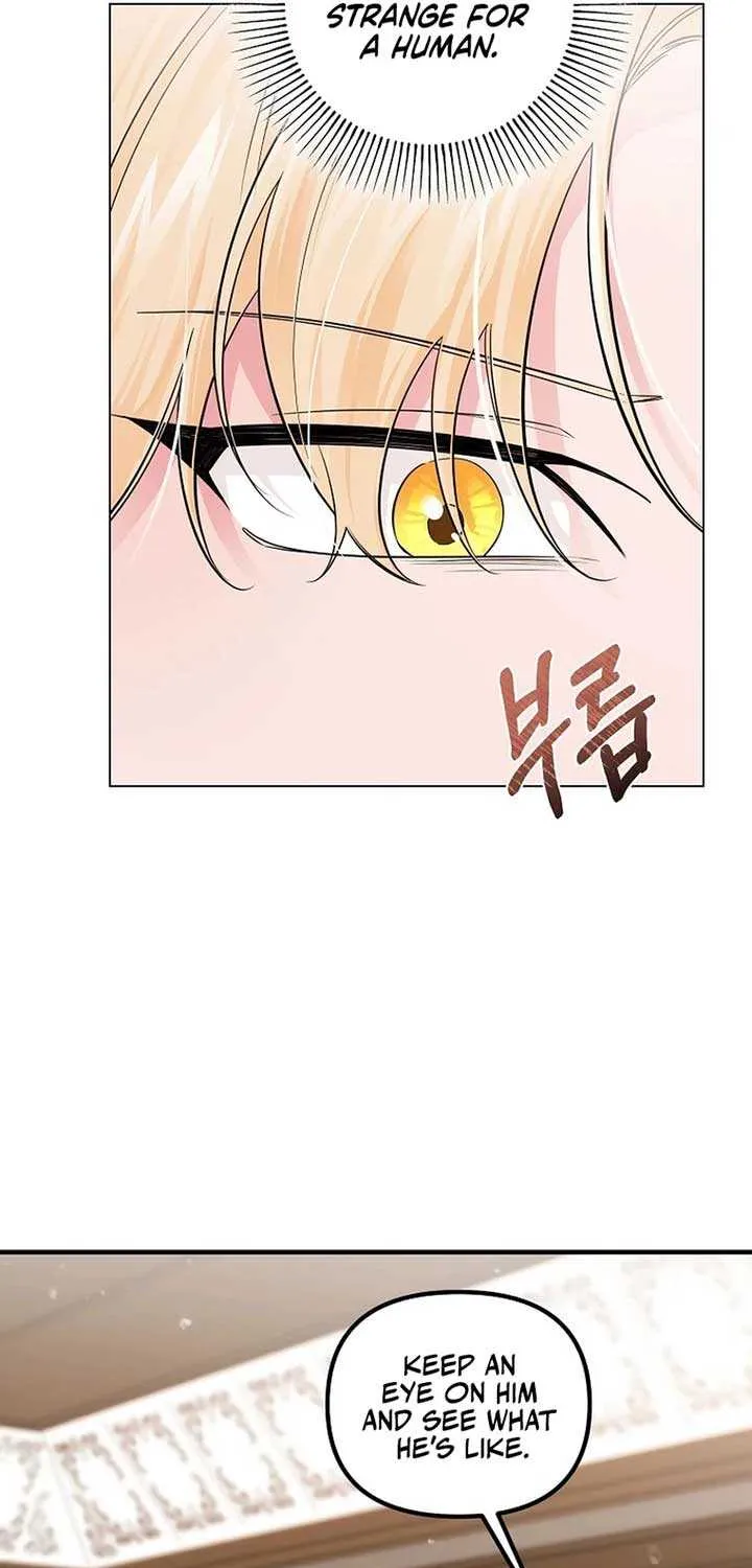 Melin’s Salvation Plan Chapter 70 page 28 - 