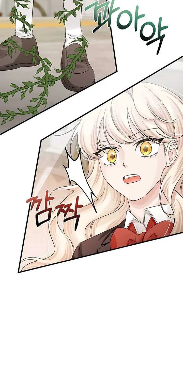 Melin’s Salvation Plan Chapter 74 page 35 - 
