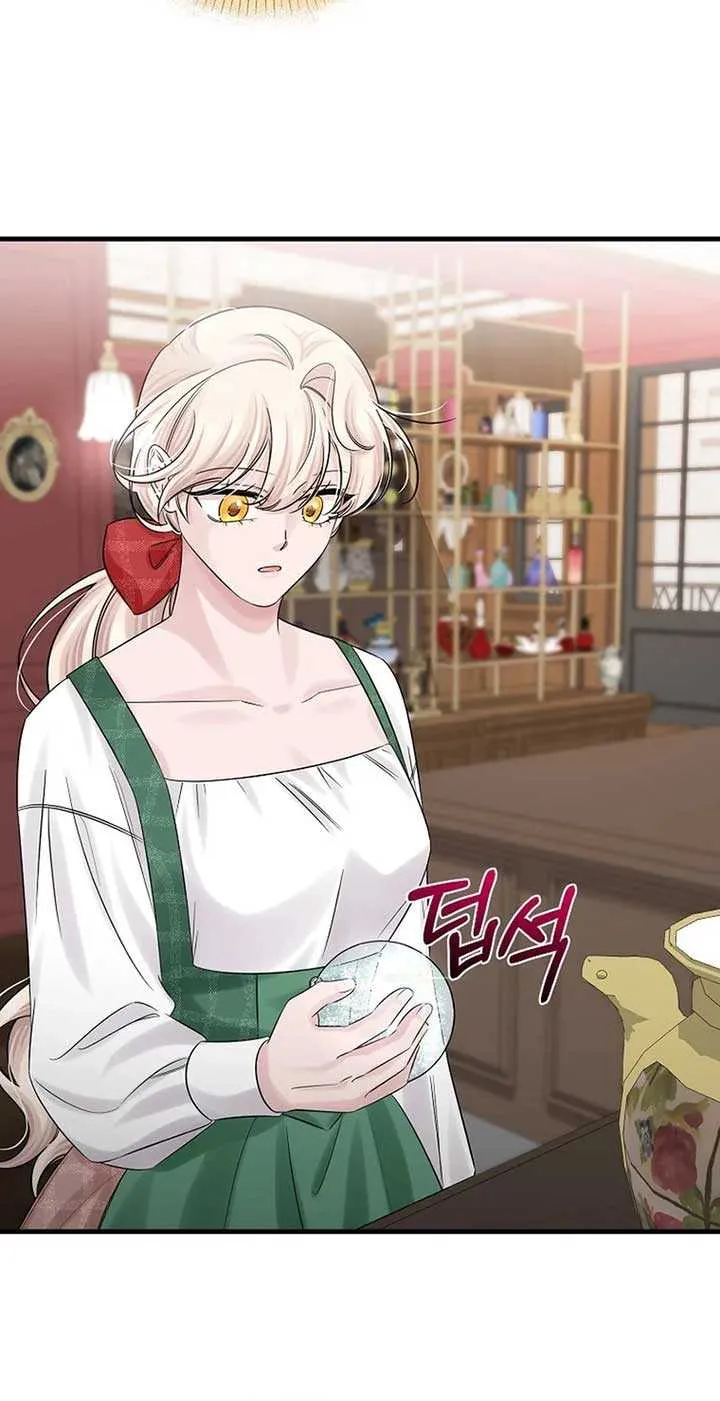 Melin’s Salvation Plan Chapter 75 page 27 - 