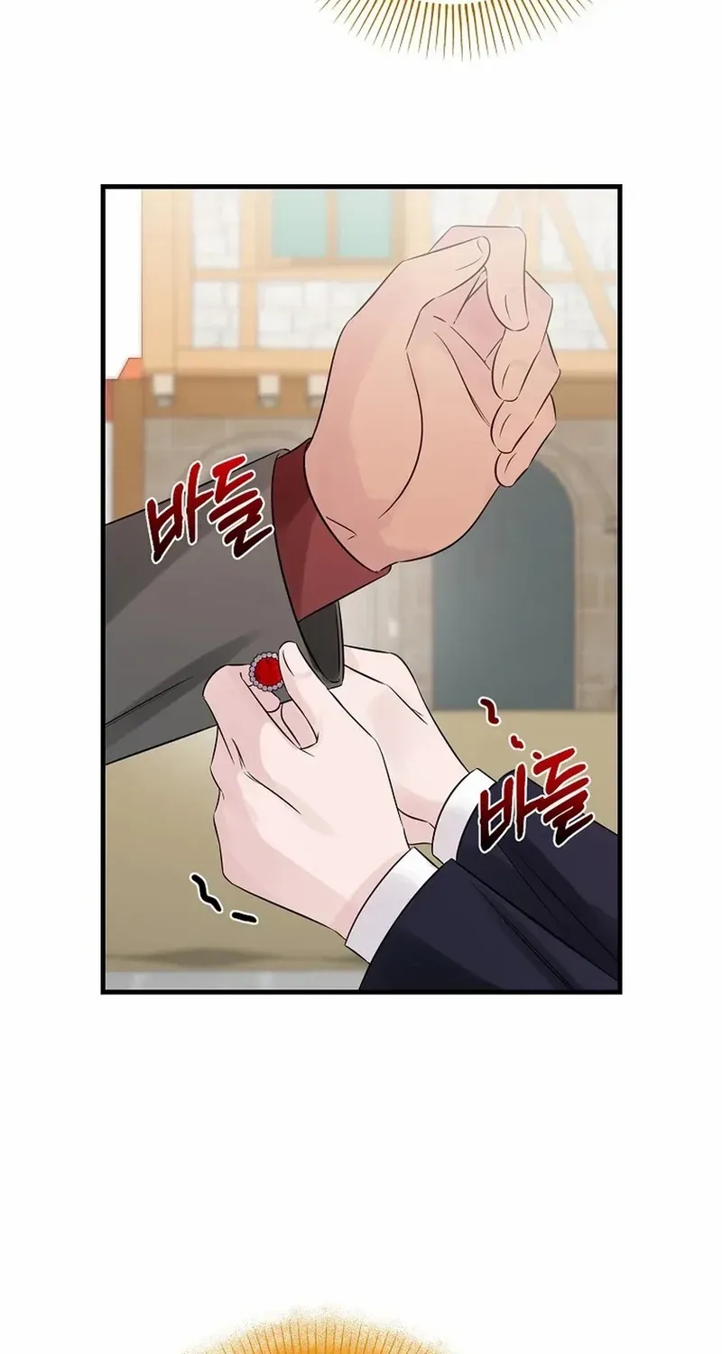 Melin’s Salvation Plan Chapter 78 page 19 - 