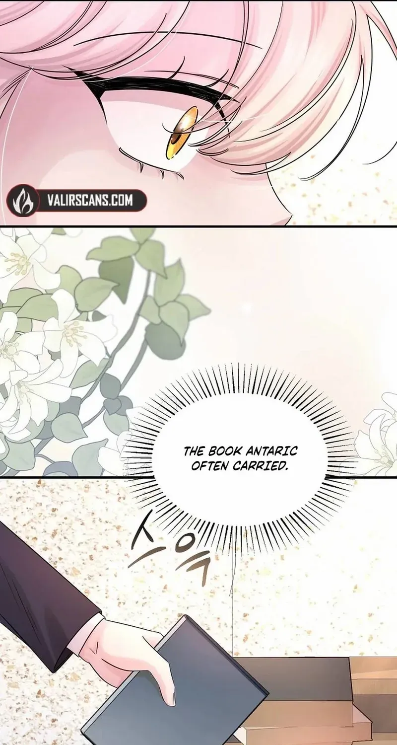 Melin’s Salvation Plan Chapter 85 page 50 - 