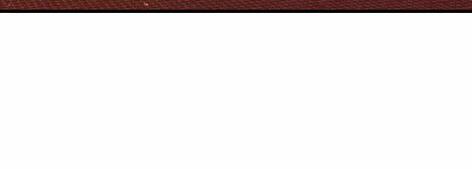 Melody of the Deadwood Chapter 96 page 51 - 