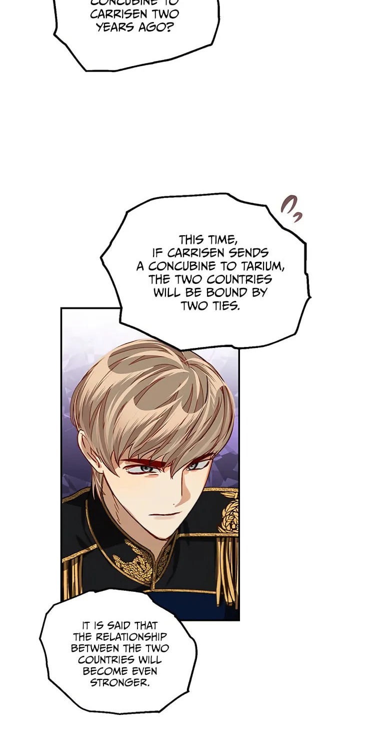 Men of the Harem Chapter 10 page 42 - 