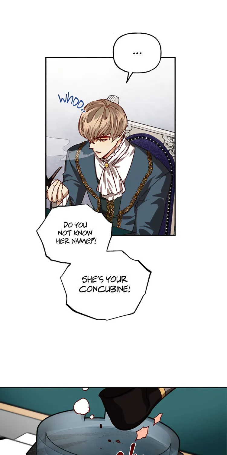 Men of the Harem Chapter 11 page 14 - 