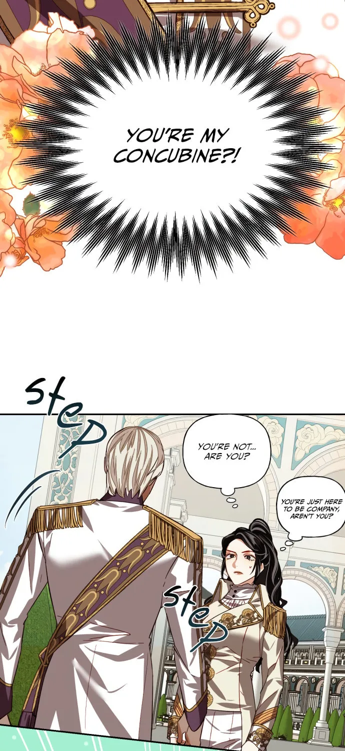 Men of the Harem Chapter 12 page 49 - 