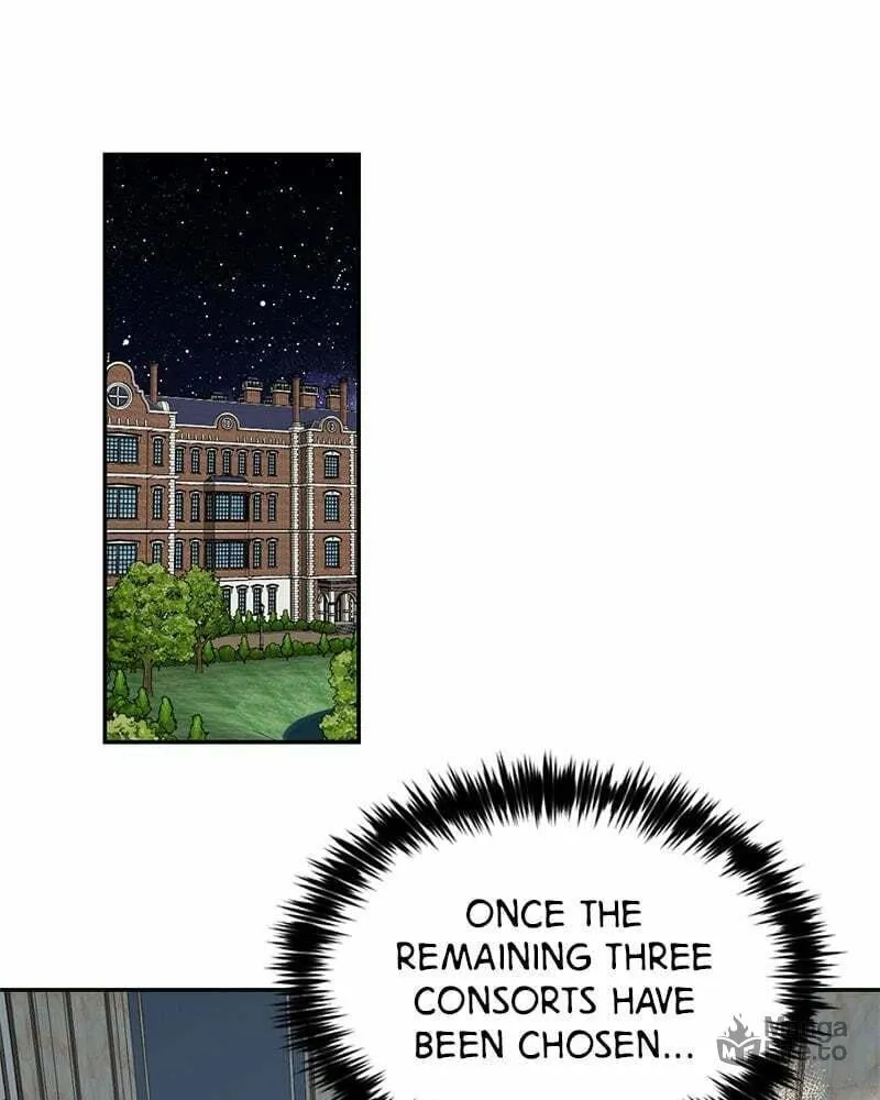 Men of the Harem Chapter 14 page 24 - 