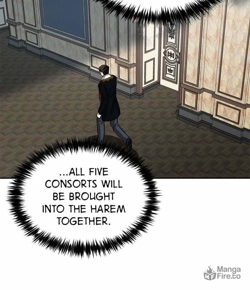 Men of the Harem Chapter 14 page 25 - 