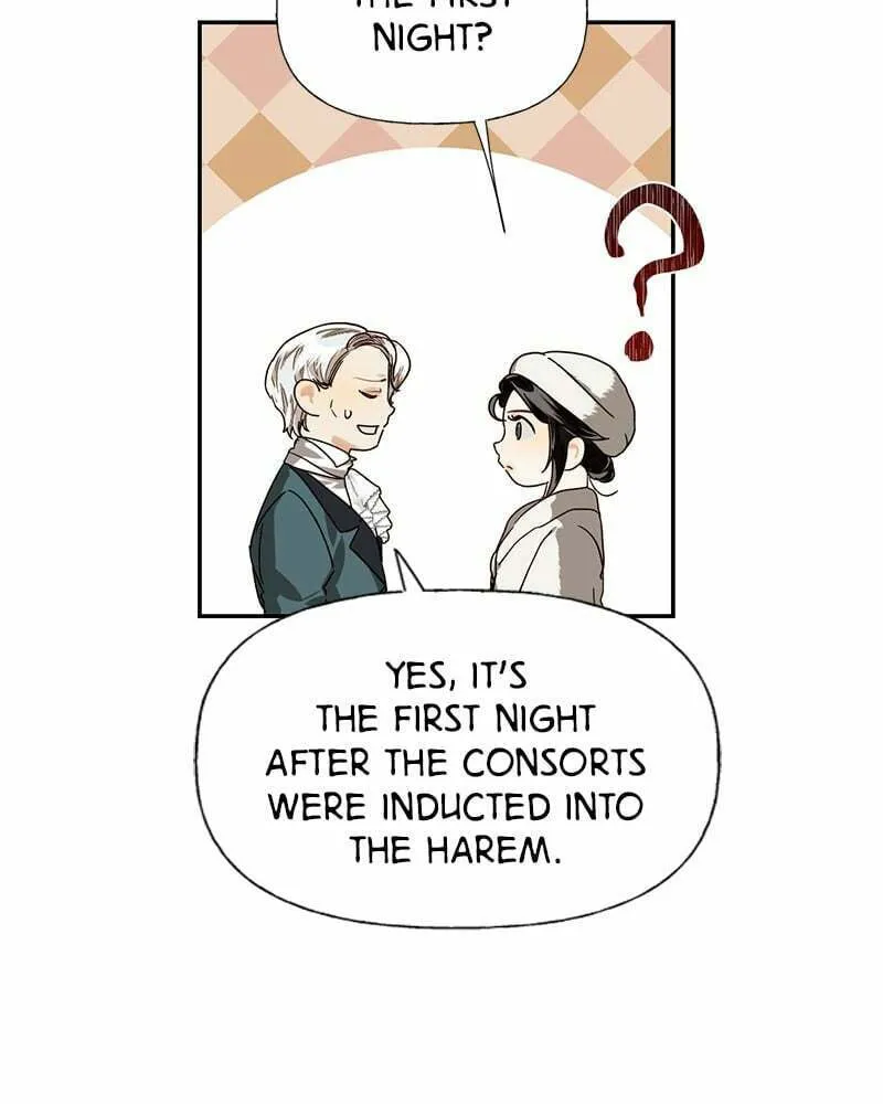 Men of the Harem Chapter 19 page 28 - 