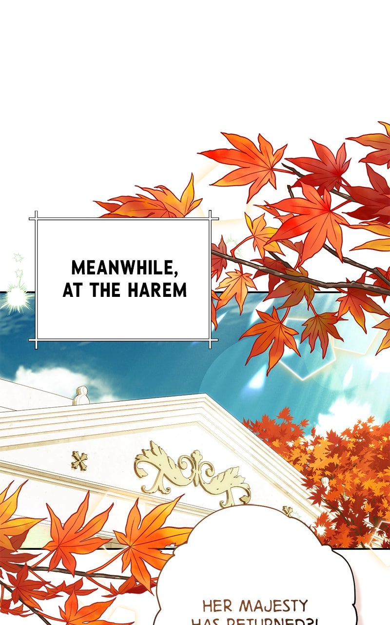 Men of the Harem (S3) Episode 196 page 44 - 