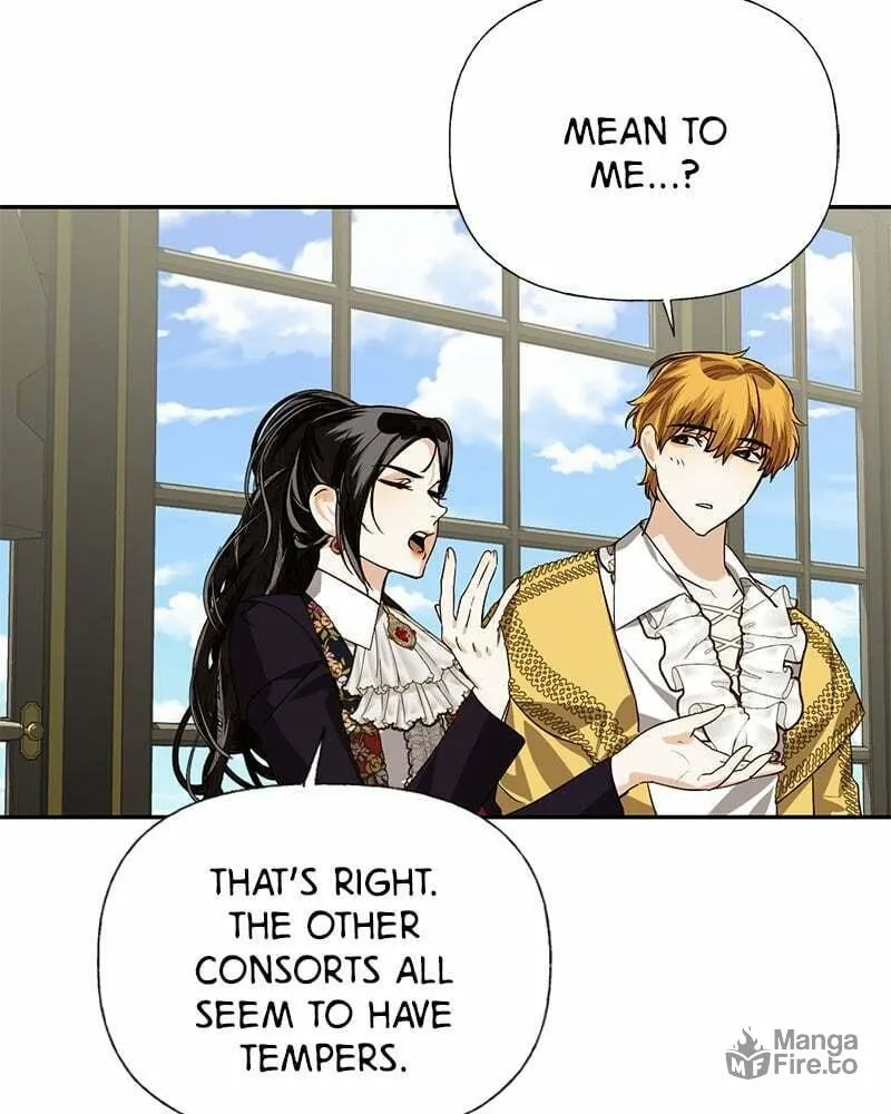 Men of the Harem Chapter 21 page 81 - 