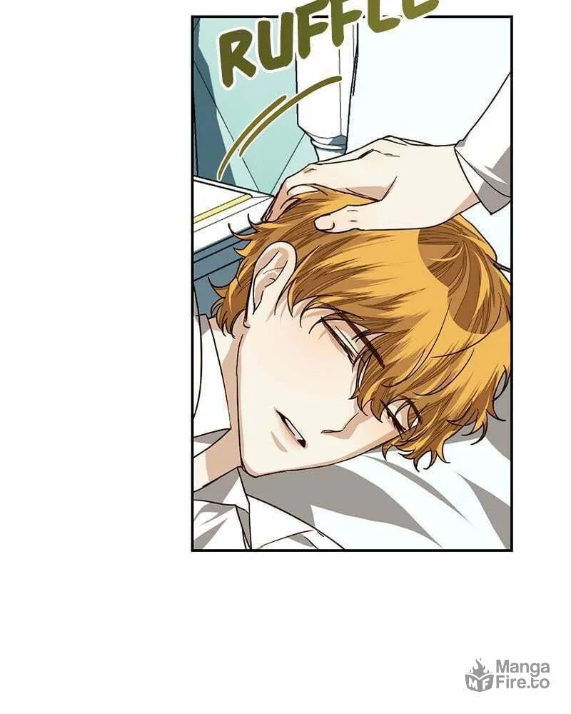 Men of the Harem Chapter 28 page 65 - 