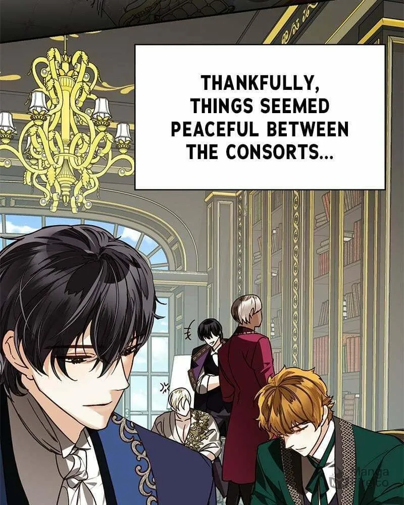 Men of the Harem Chapter 31 page 25 - 