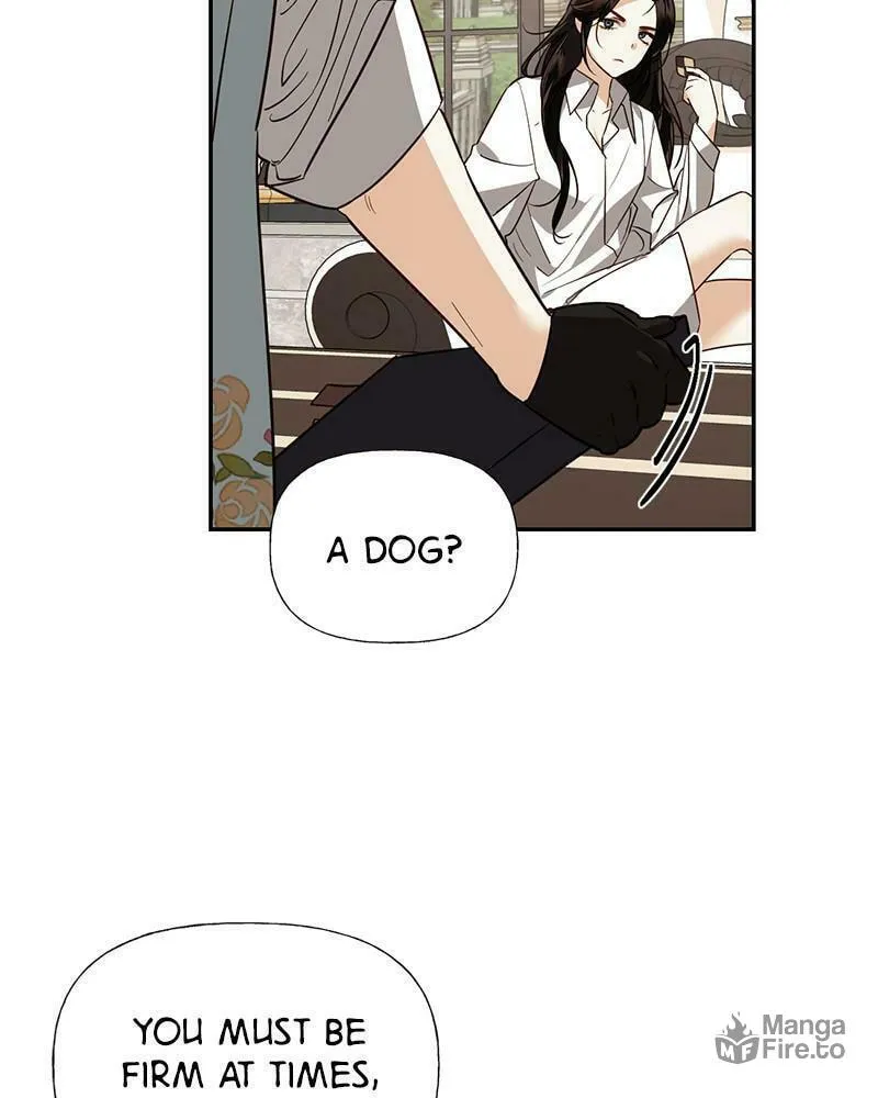 Men of the Harem Chapter 36 page 70 - 