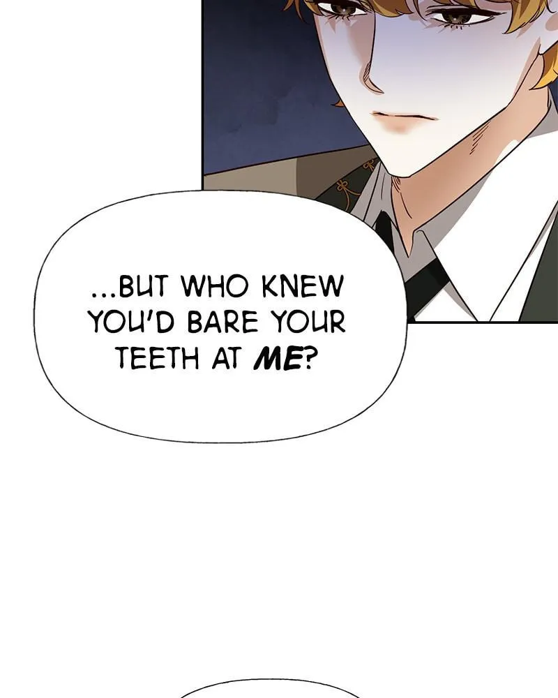 Men of the Harem Chapter 39 page 53 - 