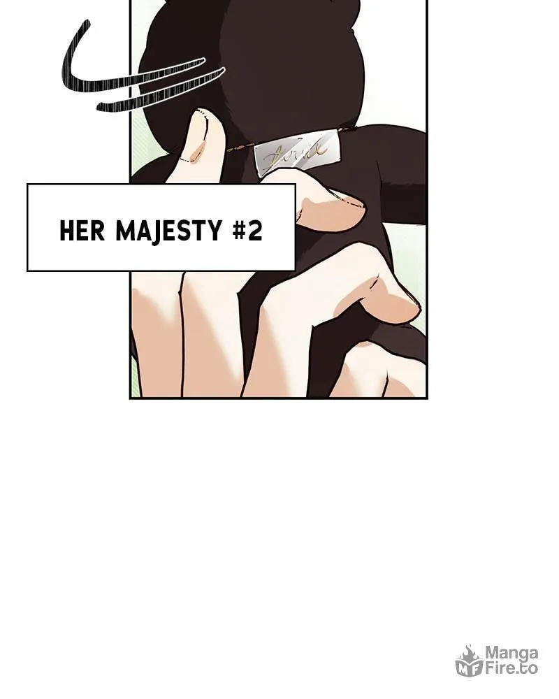 Men of the Harem Chapter 40 page 51 - 