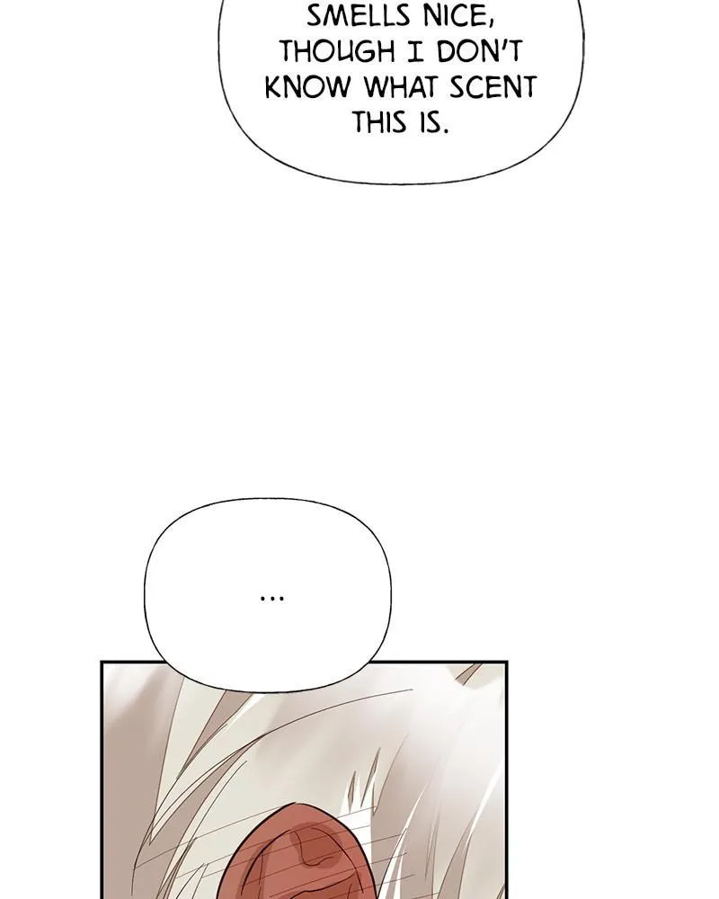 Men of the Harem Chapter 43 page 11 - 
