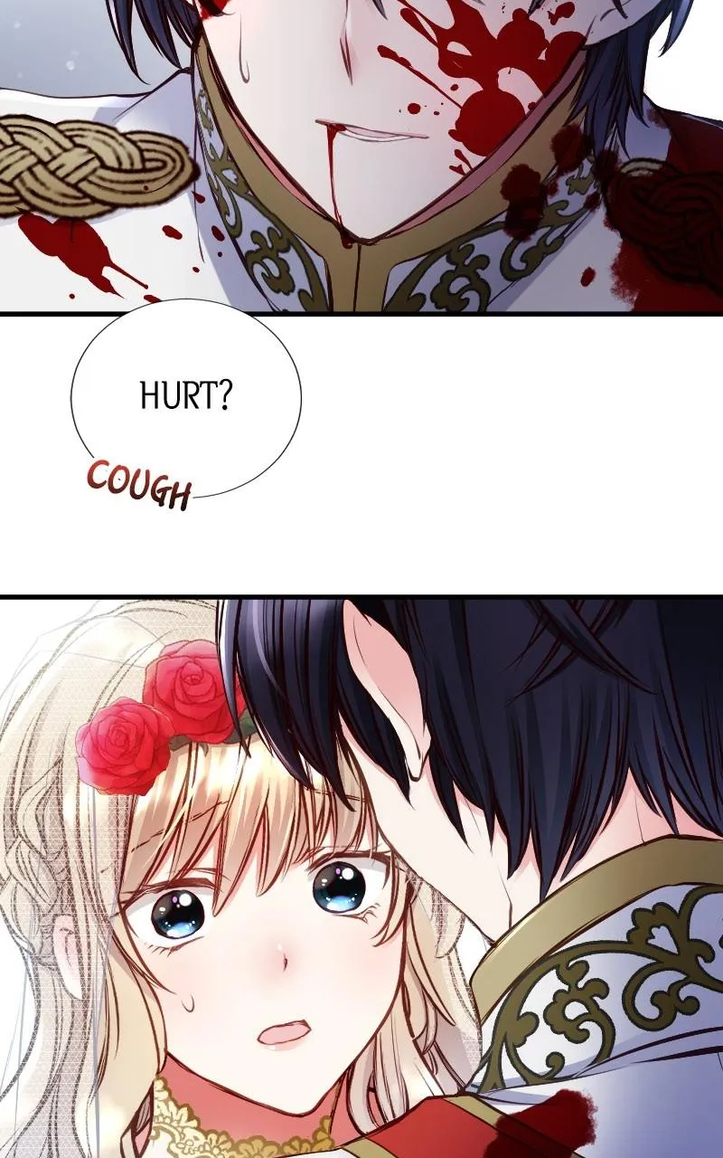 Mending the Barbaric Prince