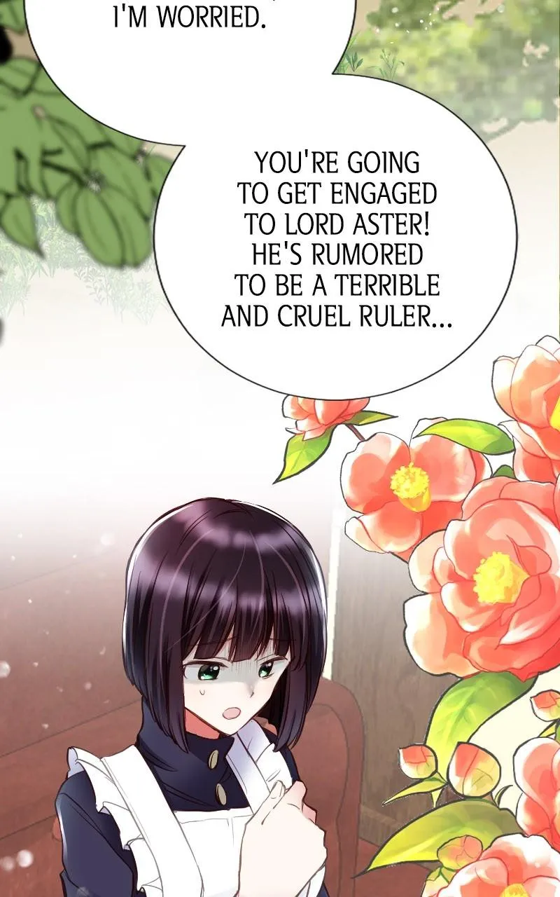 Mending the Barbaric Prince