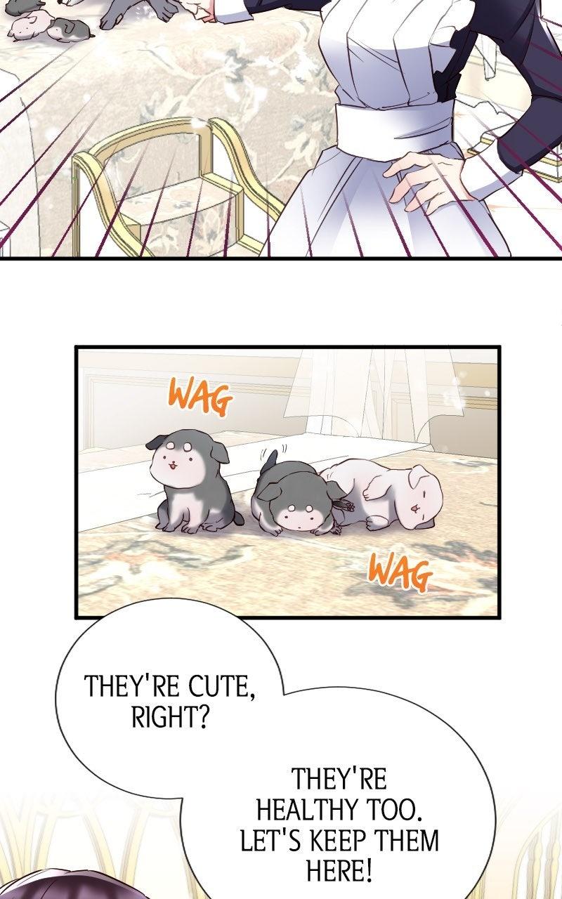 Mending the Barbaric Prince