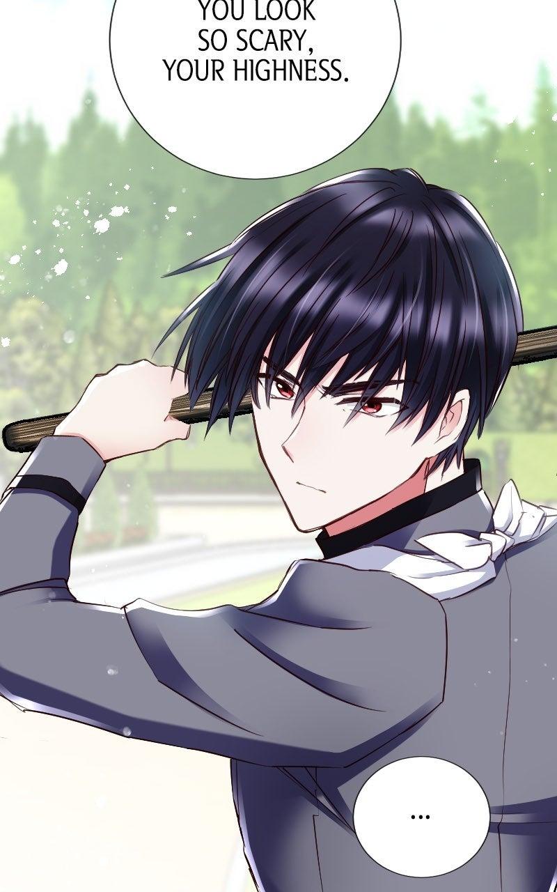 Mending the Barbaric Prince