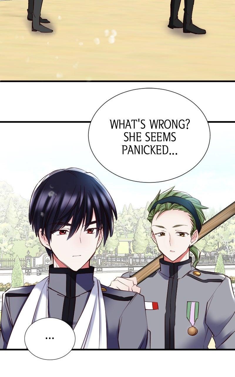 Mending the Barbaric Prince