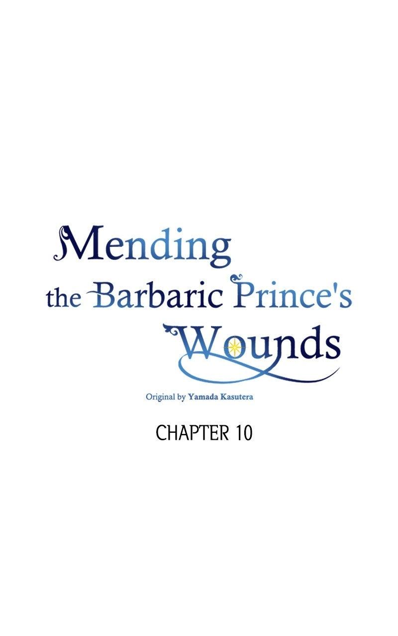 Mending the Barbaric Prince