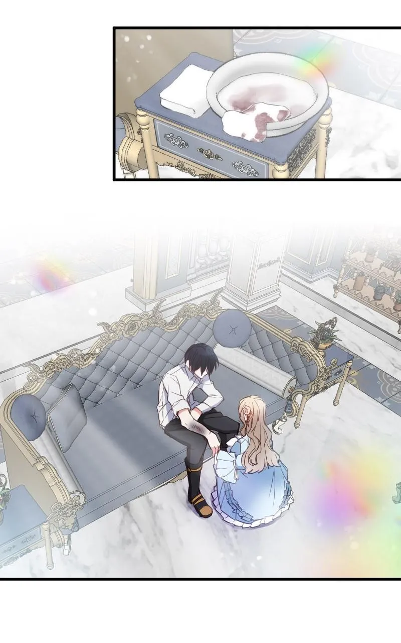 Mending the Barbaric Prince