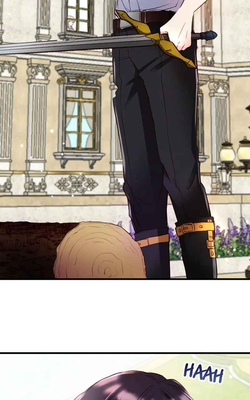 Mending the Barbaric Prince